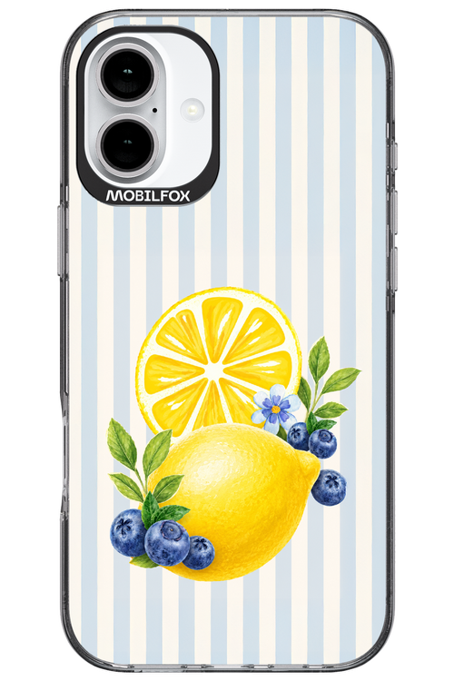 Fresh Flash 2.0 - Apple iPhone 16 Plus