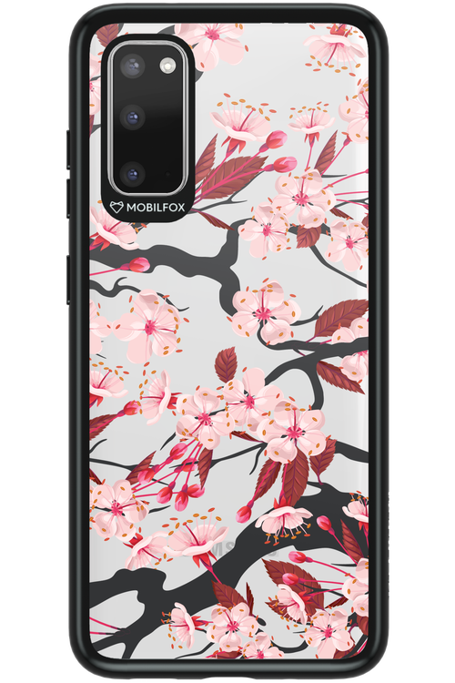 Sakura - Samsung Galaxy S20