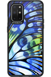 Turquoise Wing 2.0 - OnePlus 8T