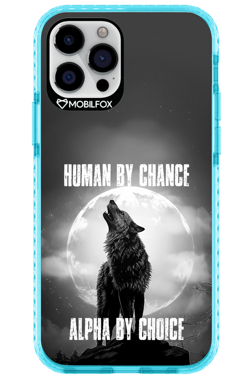 Alpha 2.0 - Apple iPhone 12 Pro