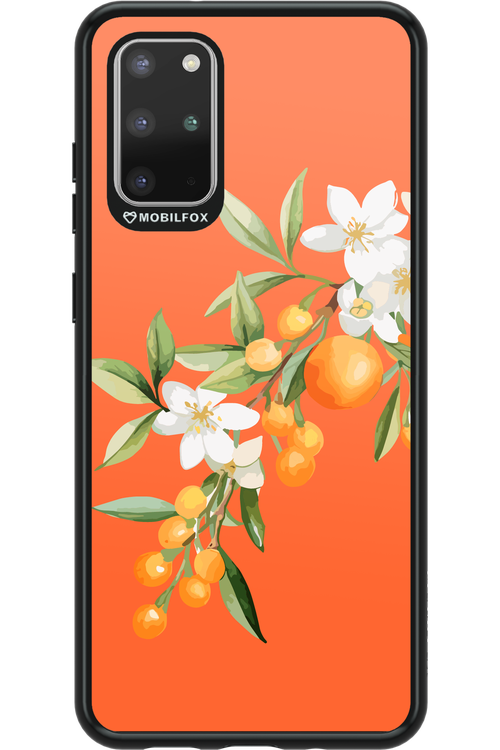 Amalfi Oranges - Samsung Galaxy S20+