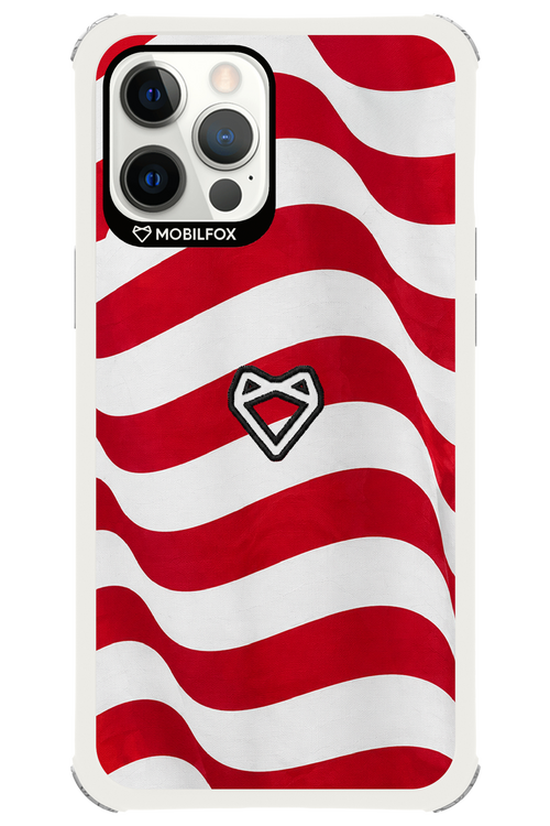 USA 2.0 - Apple iPhone 12 Pro Max