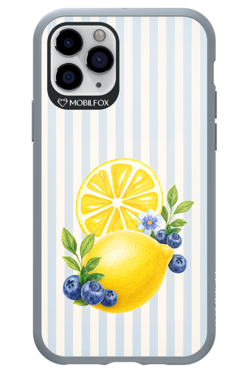 Fresh Flash 2.0 - Apple iPhone 11 Pro