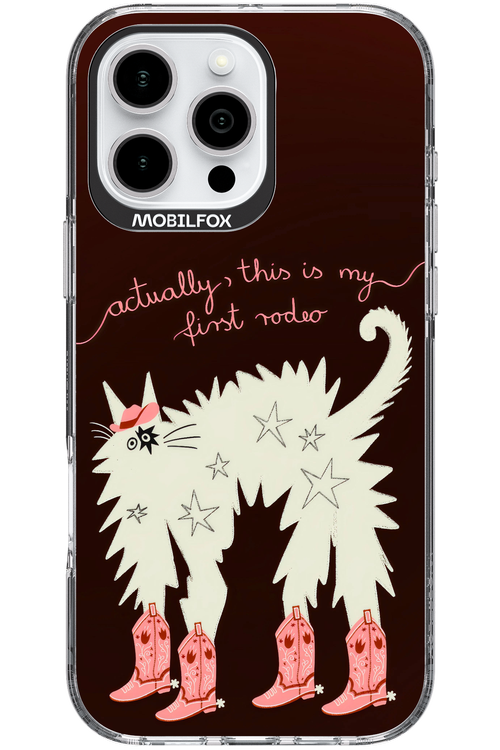 First rodeo 2.0 - Apple iPhone 16 Pro Max