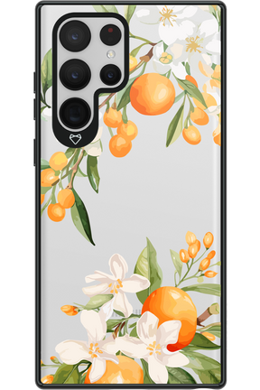 Amalfi Orange 2.0 - Samsung Galaxy S22 Ultra