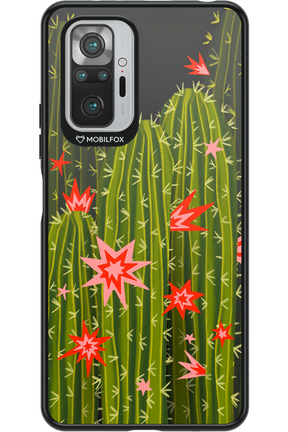 Cactus bloom 2.0 - Xiaomi Redmi Note 10S