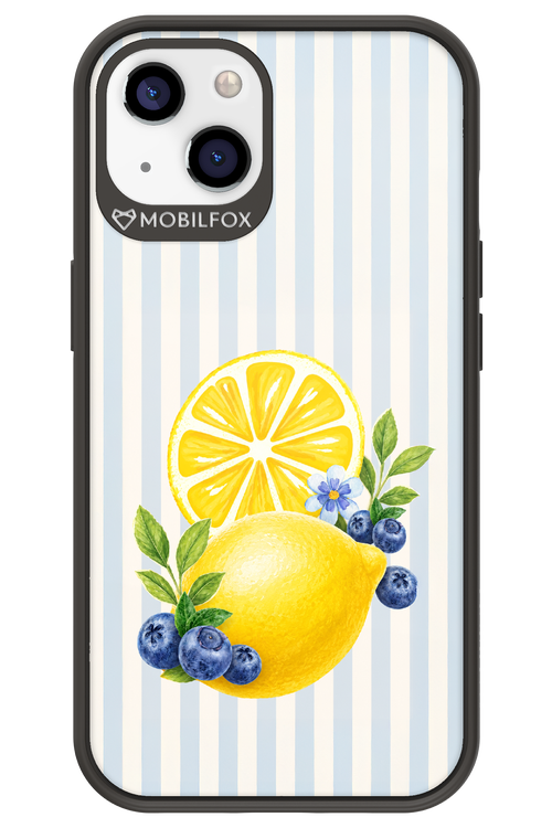 Fresh Flash 2.0 - Apple iPhone 13