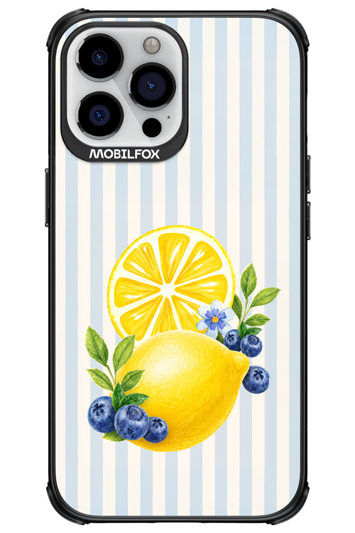 Fresh Flash 2.0 - Apple iPhone 13 Pro Max