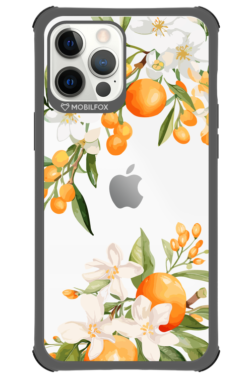 Amalfi Orange 2.0 - Apple iPhone 12 Pro Max