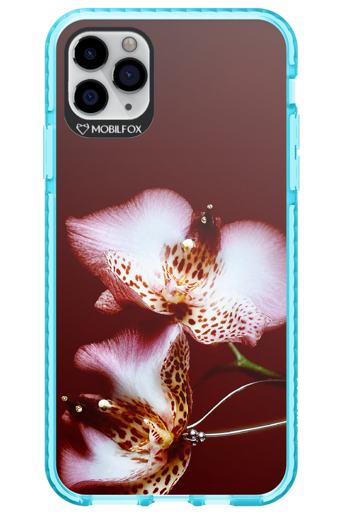 Leobloomy 2.0 - Apple iPhone 11 Pro Max