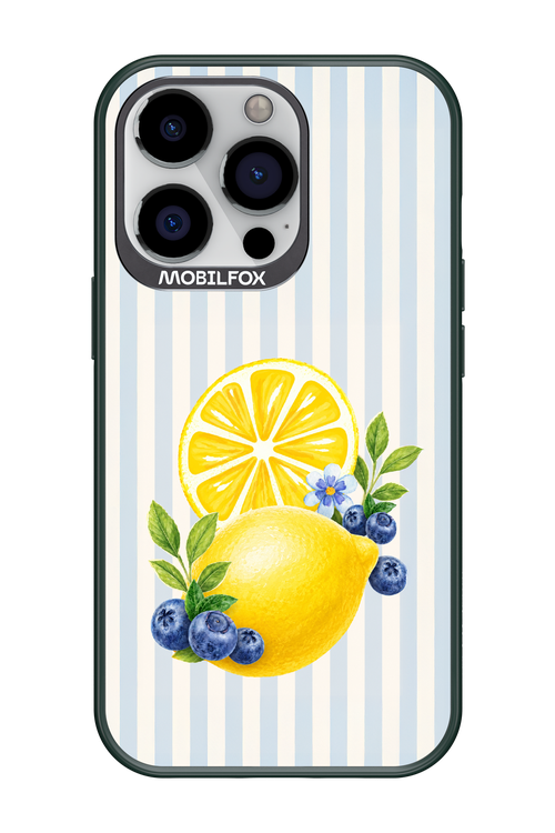 Fresh Flash 2.0 - Apple iPhone 13 Pro