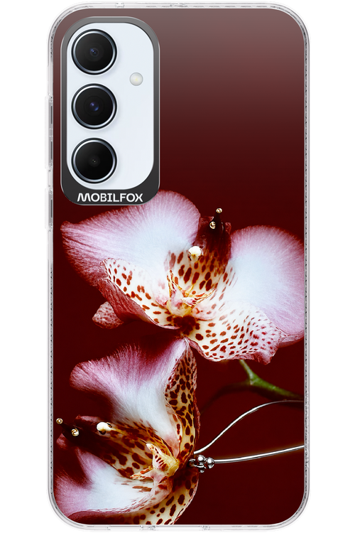 Leobloomy 2.0 - Samsung Galaxy A55