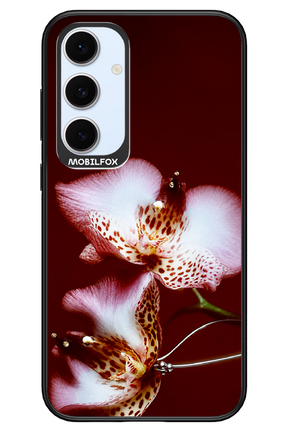 Leobloomy 2.0 - Samsung S24 FE