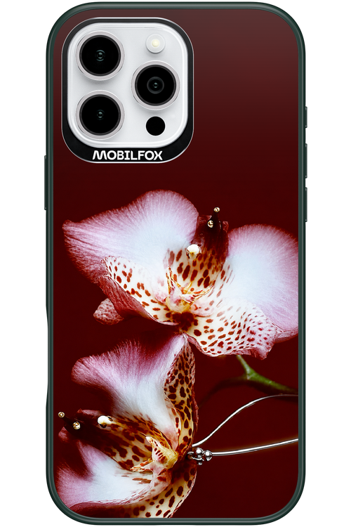 Leobloomy 2.0 - Apple iPhone 16 Pro Max