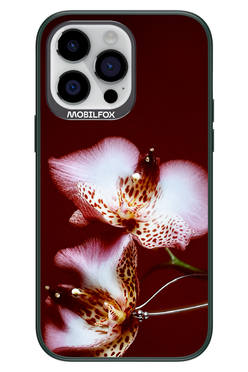 Leobloomy 2.0 - Apple iPhone 14 Pro Max