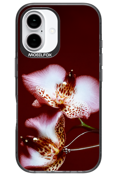 Leobloomy 2.0 - Apple iPhone 16