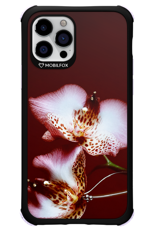 Leobloomy 2.0 - Apple iPhone 12 Pro