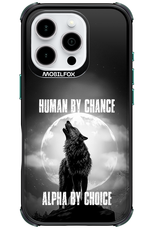 Alpha 2.0 - Apple iPhone 16 Pro