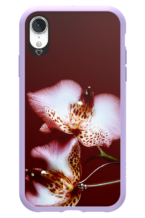 Leobloomy 2.0 - Apple iPhone XR