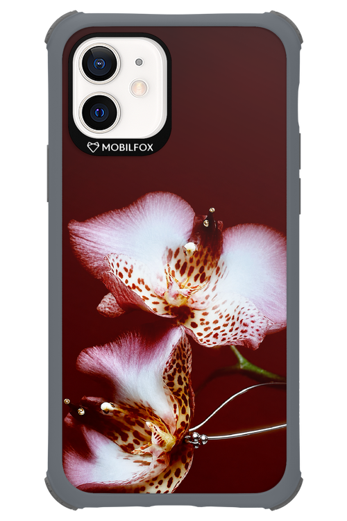 Leobloomy 2.0 - Apple iPhone 12