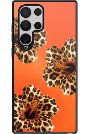 Sun Purr 2.0 - Samsung Galaxy S22 Ultra