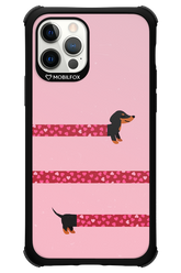PAWS & KISSES 2.0 - Apple iPhone 12 Pro