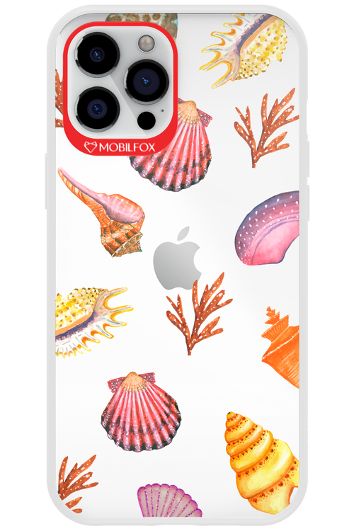Sea Shells - Apple iPhone 12 Pro Max
