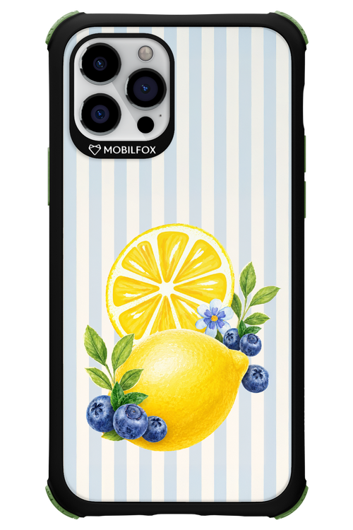 Fresh Flash 2.0 - Apple iPhone 12 Pro