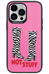 HOT STUFF 2.0 - Apple iPhone 14 Pro Max