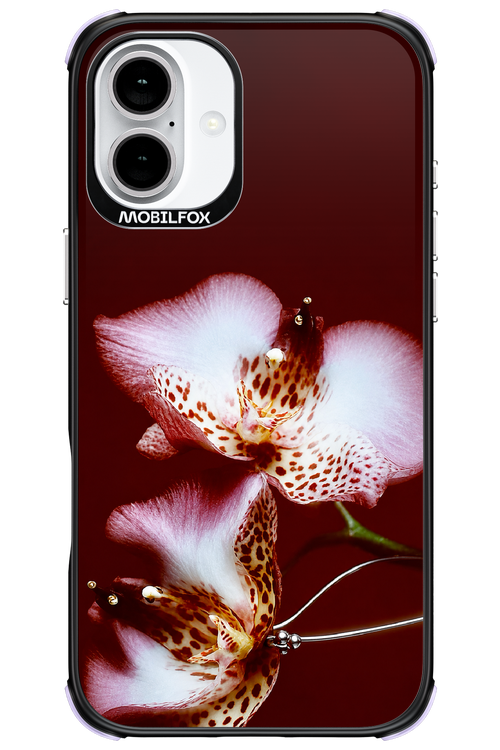 Leobloomy 2.0 - Apple iPhone 16 Plus