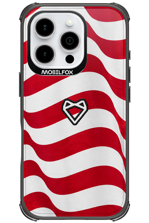 USA 2.0 - Apple iPhone 16 Pro