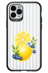 Fresh Flash 2.0 - Apple iPhone 11 Pro