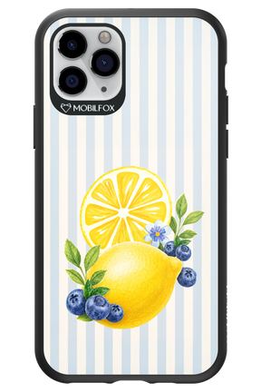 Fresh Flash 2.0 - Apple iPhone 11 Pro