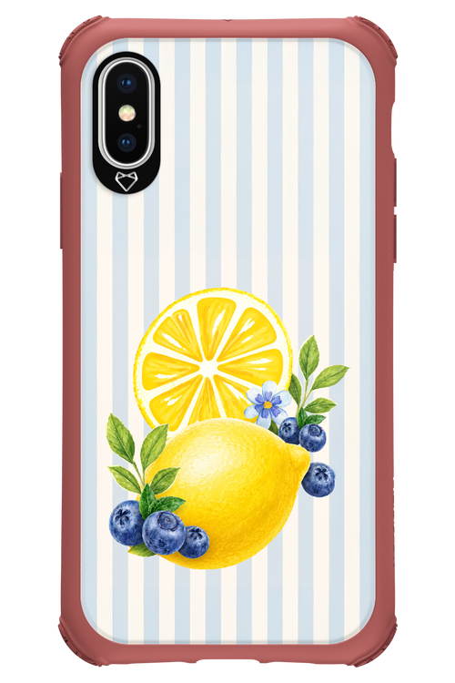 Fresh Flash 2.0 - Apple iPhone X