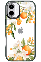 Amalfi Orange 2.0 - Apple iPhone 16 Plus