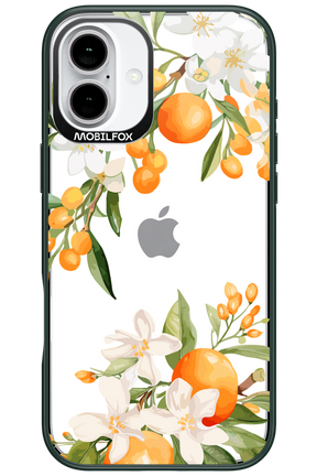 Amalfi Orange 2.0 - Apple iPhone 16 Plus