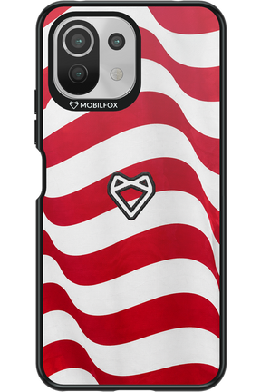 USA 2.0 - Xiaomi Mi 11 Lite (2021)