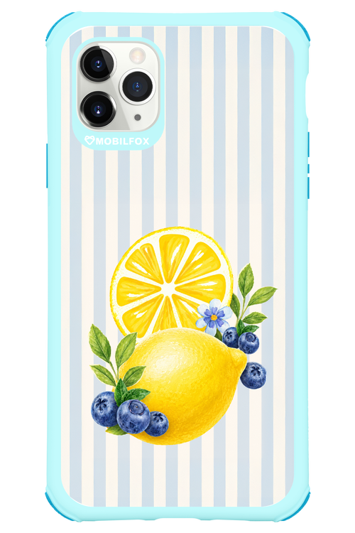 Fresh Flash 2.0 - Apple iPhone 11 Pro Max
