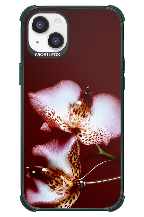 Leobloomy 2.0 - Apple iPhone 14 Plus