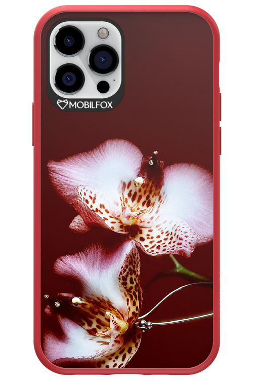 Leobloomy 2.0 - Apple iPhone 12 Pro