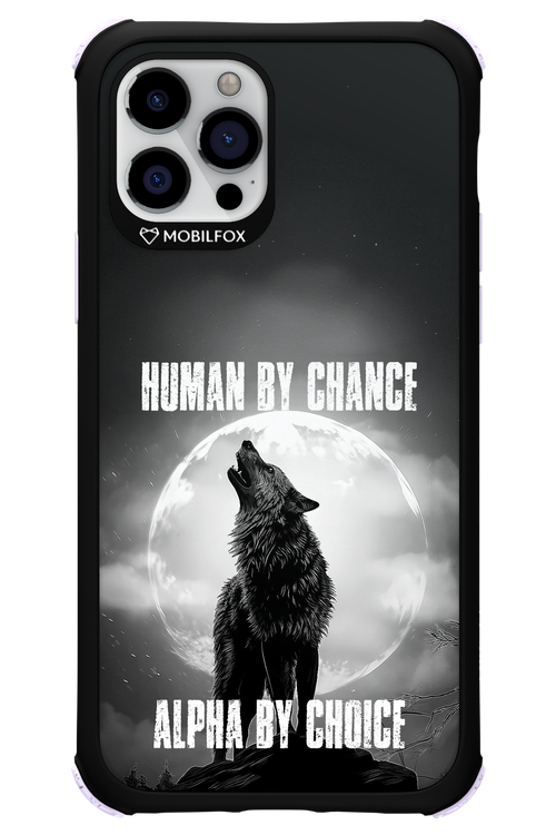 Alpha 2.0 - Apple iPhone 12 Pro
