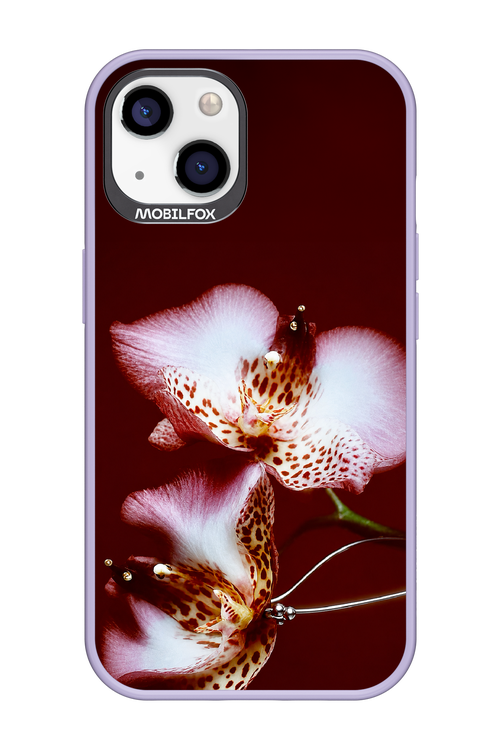 Leobloomy 2.0 - Apple iPhone 13