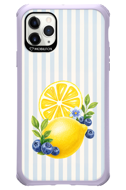 Fresh Flash 2.0 - Apple iPhone 11 Pro Max