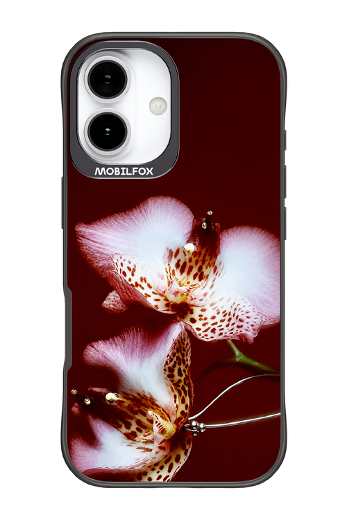 Leobloomy 2.0 - Apple iPhone 17
