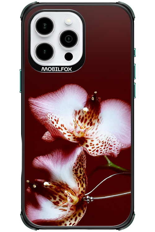 Leobloomy 2.0 - Apple iPhone 16 Pro Max