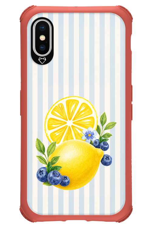 Fresh Flash 2.0 - Apple iPhone X