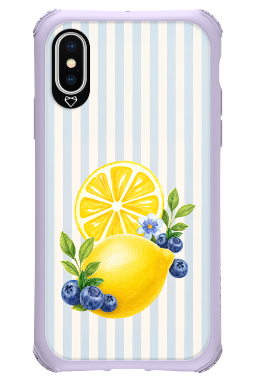 Fresh Flash 2.0 - Apple iPhone XS