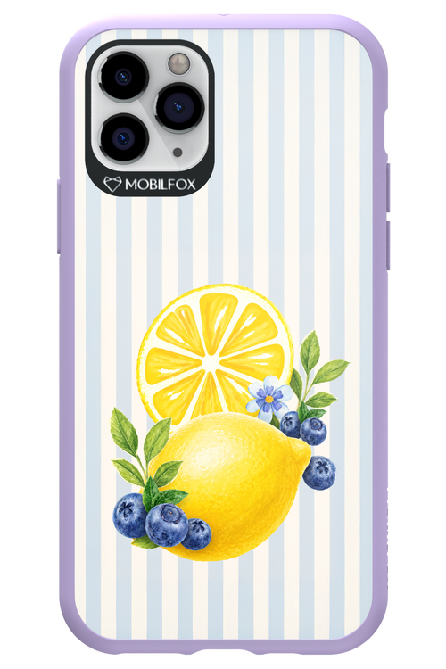 Fresh Flash 2.0 - Apple iPhone 11 Pro