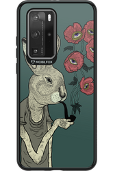 Bunny - Huawei P40 Pro