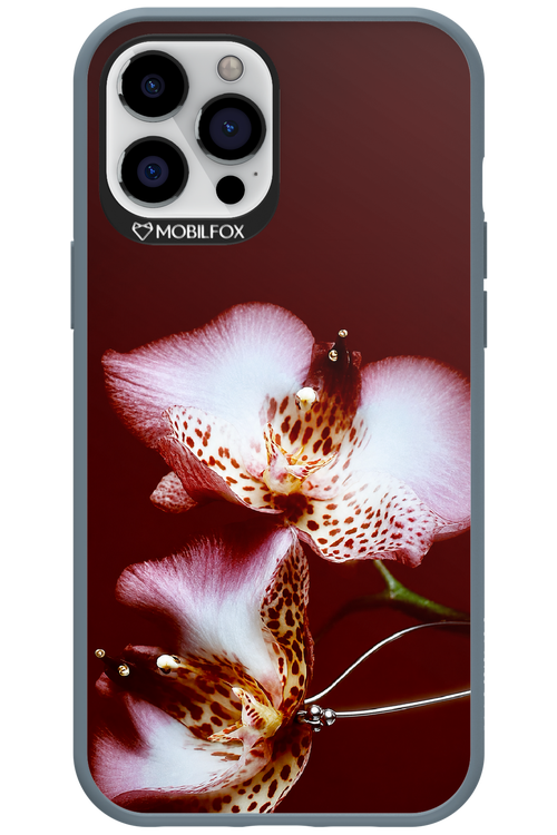 Leobloomy 2.0 - Apple iPhone 12 Pro Max